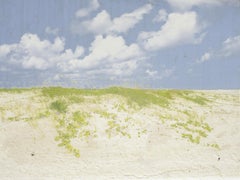 "Organic Landscapes: Cumberland Island NS No. 1" - composite photo, landscape