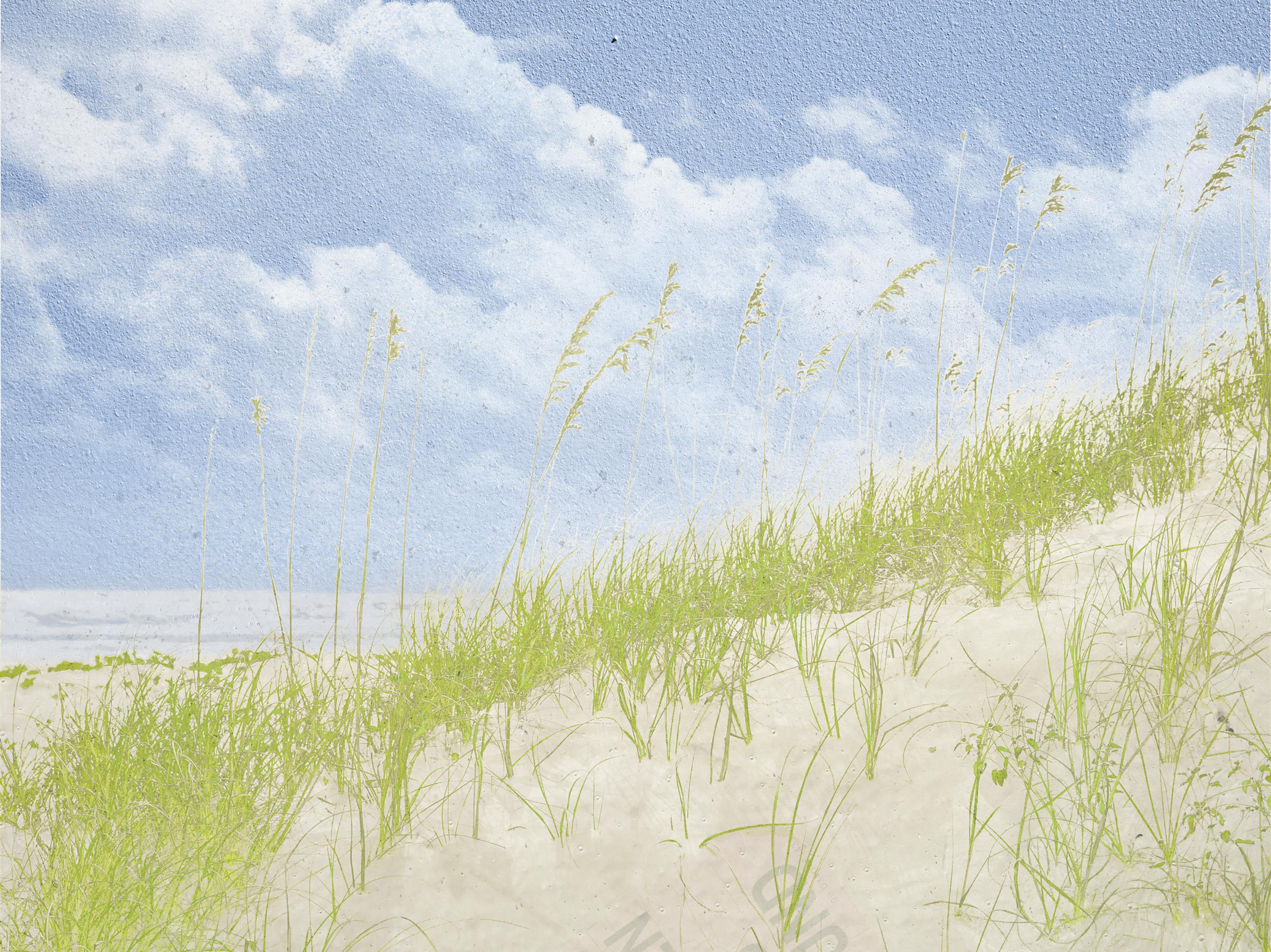 "Organic Landscapes: Cumberland Island NS No. 2" - composite photo, landscape