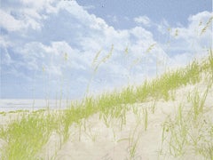 "Organic Landscapes: Cumberland Island NS No. 2" - composite photo, landscape