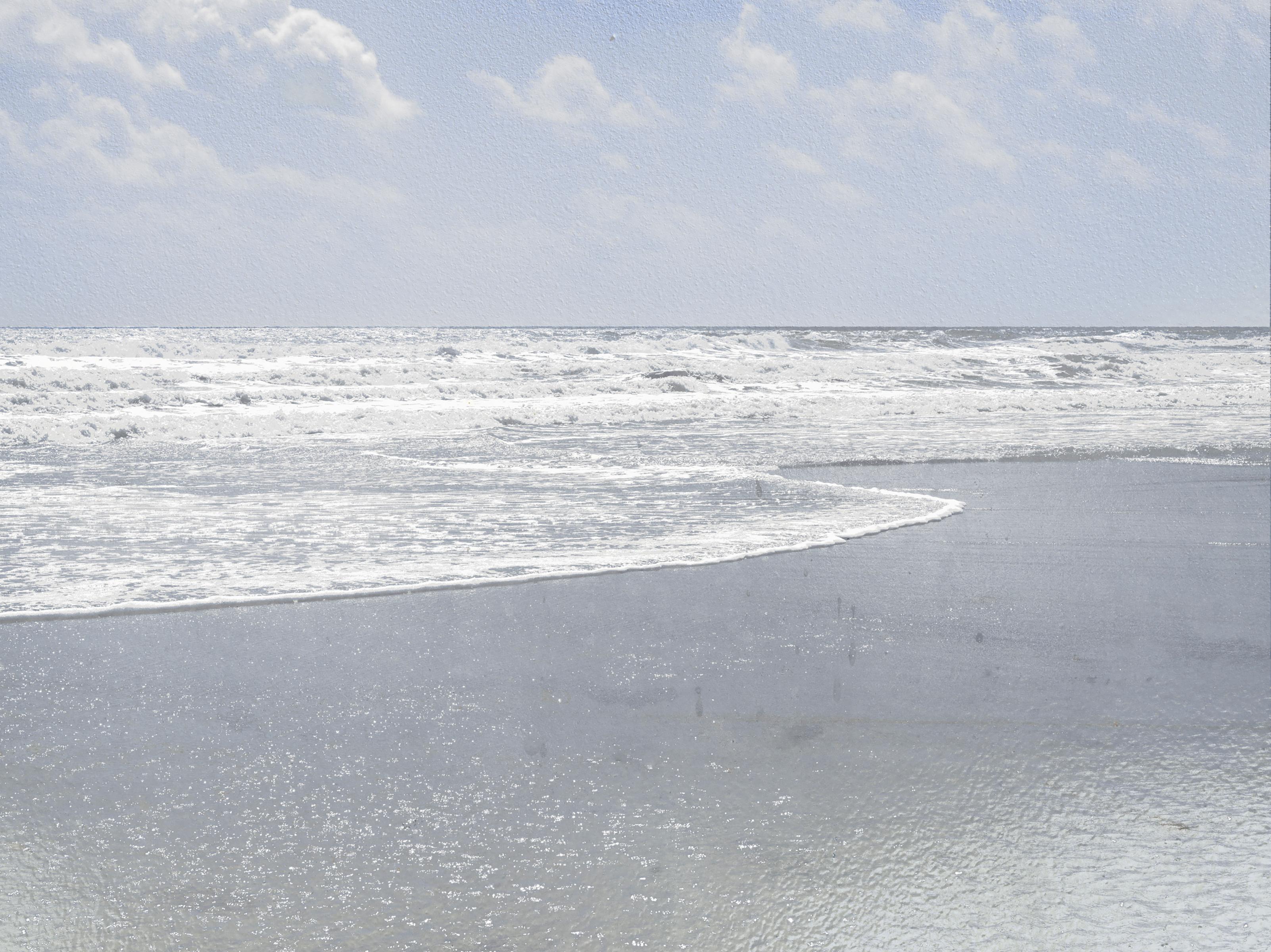 "Organic Landscapes: Cumberland Island NS No. 5" - composite photo, landscape