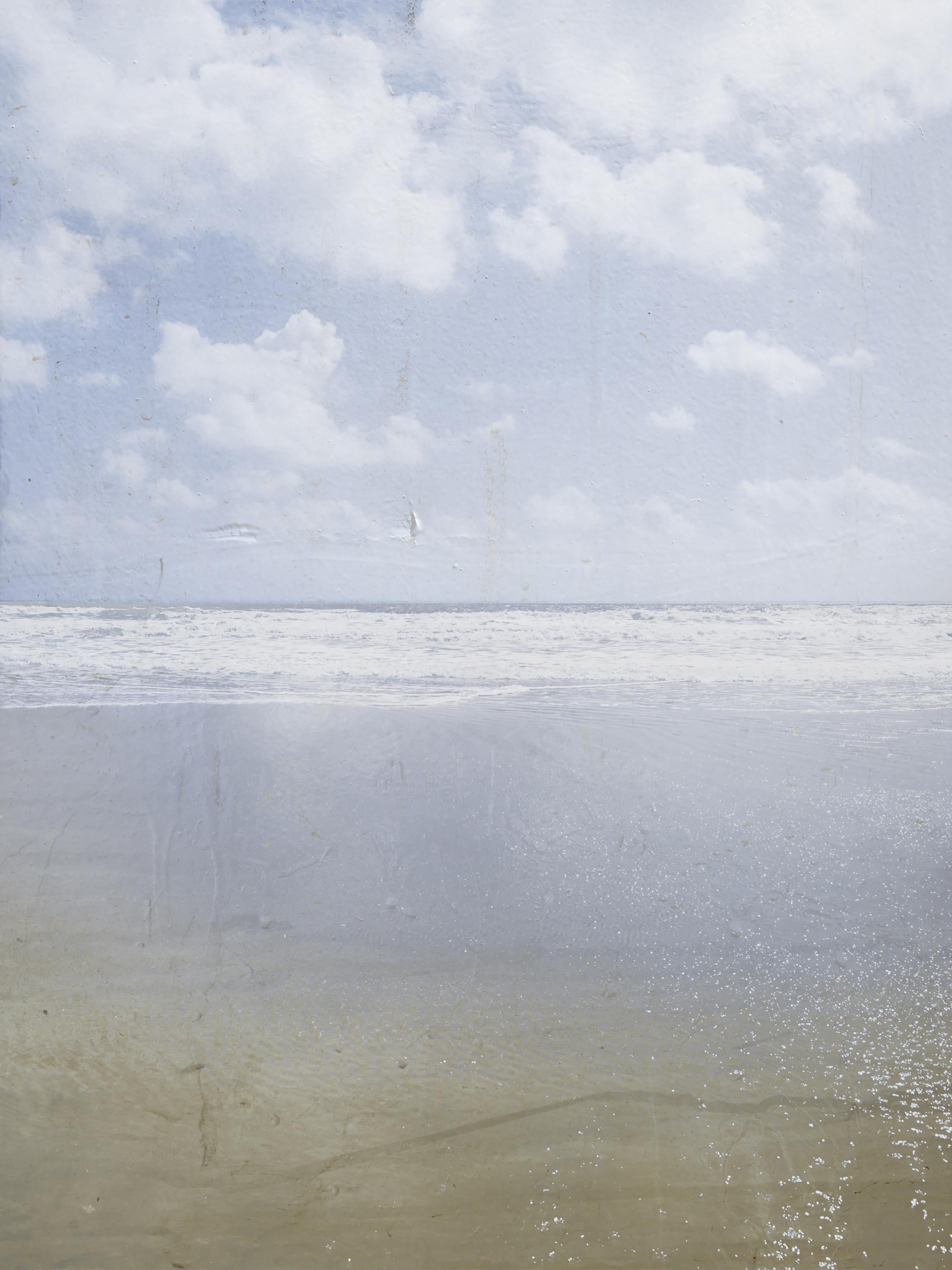 Jennifer McKinnon Landscape Photograph - "Organic Landscapes: Cumberland Island NS No. 6" - composite photo, landscape
