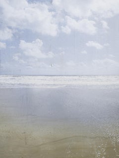 "Organic Landscapes: Cumberland Island NS No. 6" - composite photo, landscape