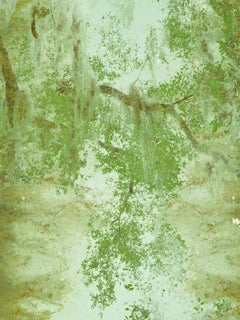 "Organic Landscapes: Cumberland Island NS No. 8" - composite photo, landscape