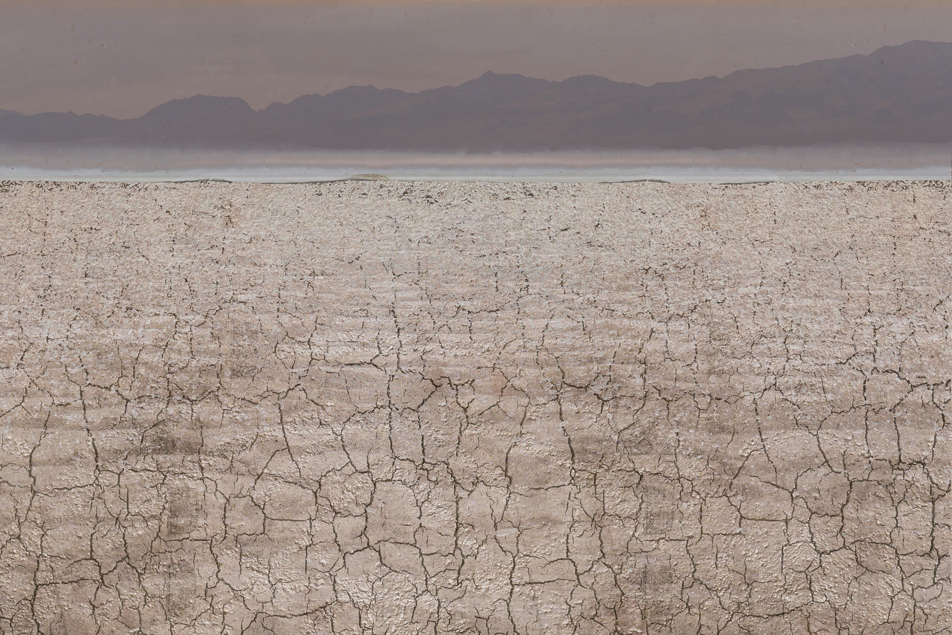 Jennifer McKinnon Abstract Photograph - "Organic Landscapes: Cumberland Island NS No. 8" - composite photo, landscape