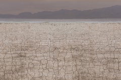 "Organic Landscapes: Cumberland Island NS No. 8" - composite photo, landscape