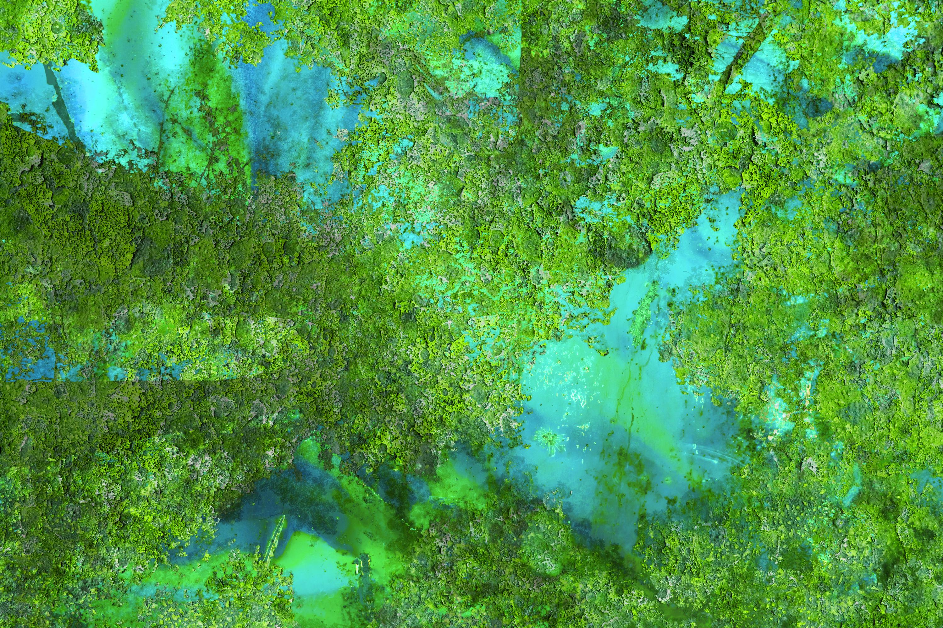 "Organic Landscapes: Redwoods NP" - composite photo, landscape, blue