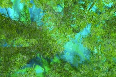 "Organic Landscapes: Redwoods NP" - composite photo, landscape, blue