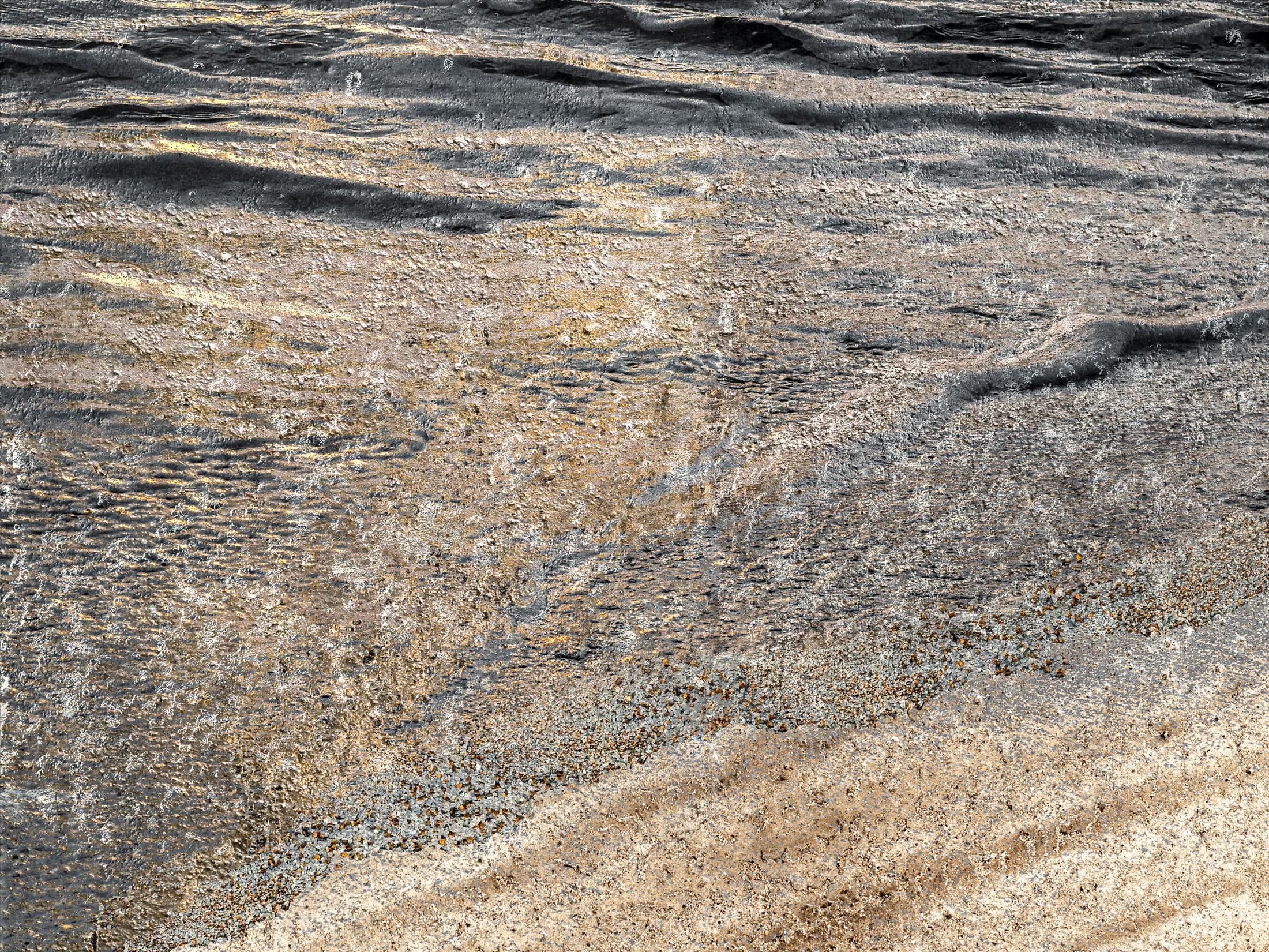 Jennifer McKinnon Abstract Photograph - Uncontained Consumption: Sand Dollars - composite photo, beachscape, landscape