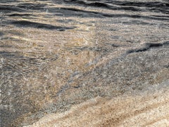 Used Uncontained Consumption: Sand Dollars - composite photo, beachscape, landscape