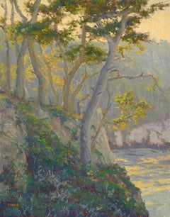 Blue Fish Cove, Point Lobos