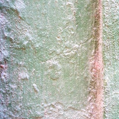 Pantone de La Havane, Verde Muralla