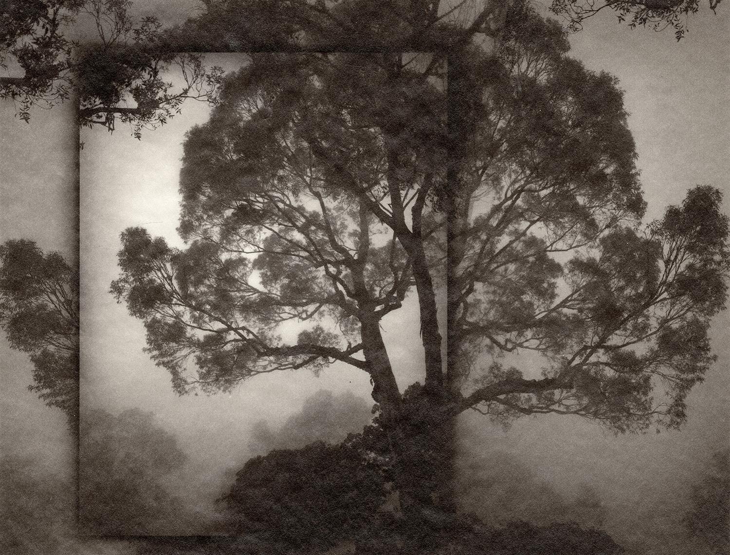 Jennifer Schlesinger Landscape Photograph - Utopia 2