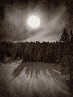 Utopia 6, 2014, hand coated albumen print