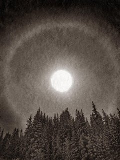 Utopia 7, 2014, hand coated albumen print