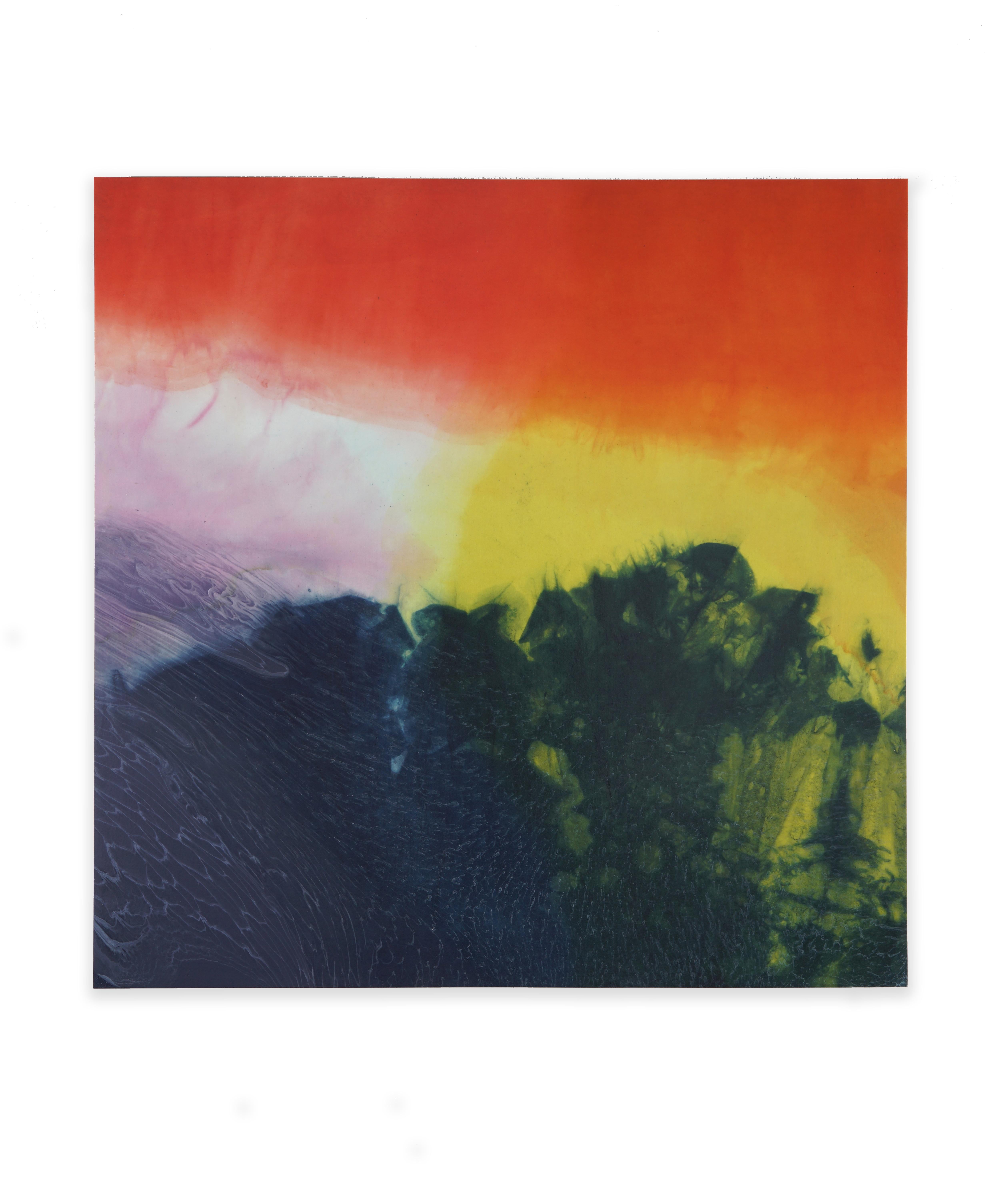 Farbe Dye Gemälde #9 (Abstrakt), Photograph, von Jennifer Wolf