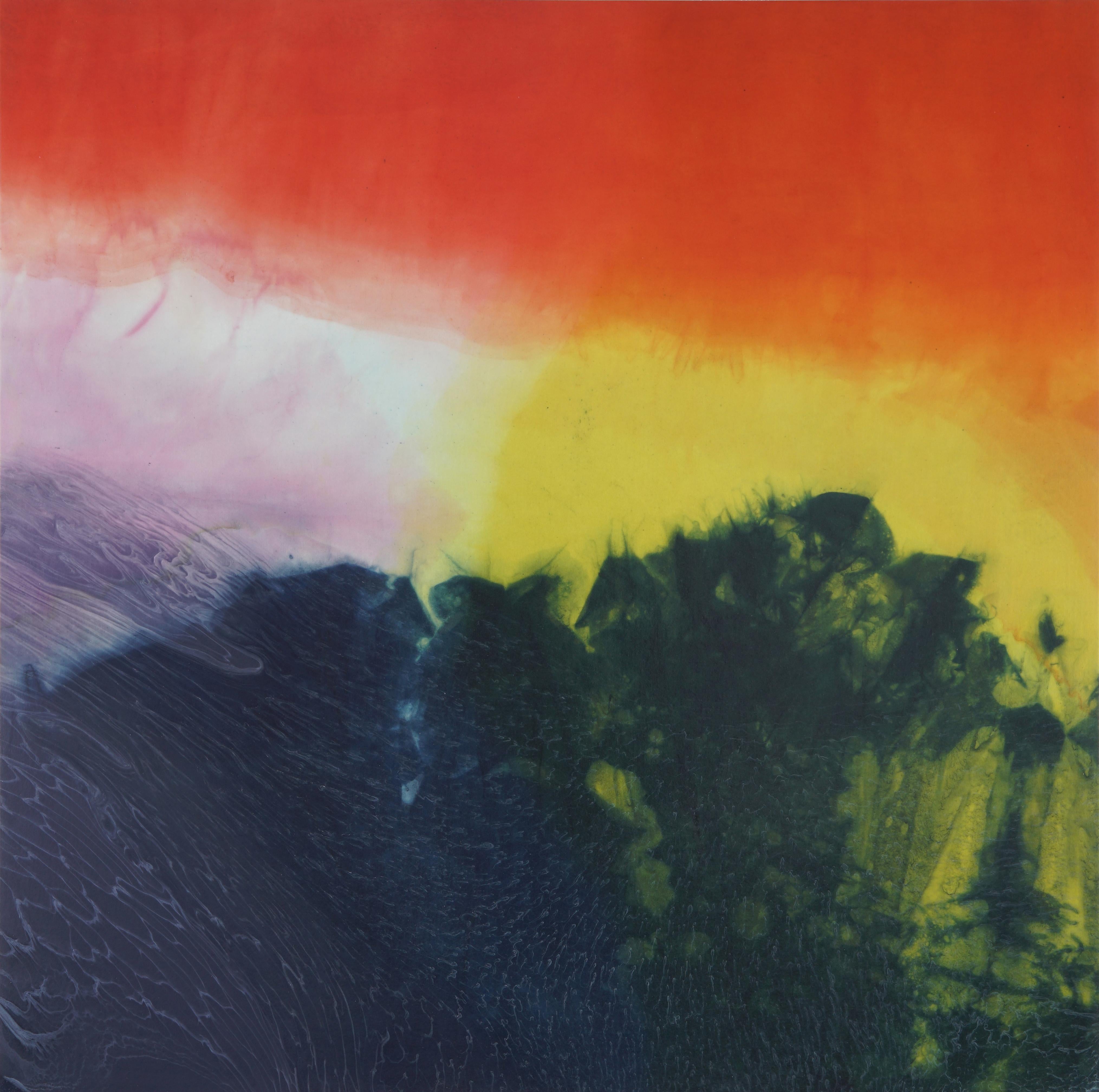 Jennifer Wolf Abstract Photograph – Farbe Dye Gemälde #9