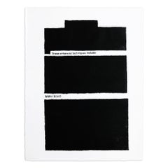 Jenny Holzer, These Enhanced Techniques - Signed Print, Contemporary Art
