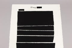 Jenny Holzer, Top Secret 32 (dalla serie Water Boarding), stampa firmata