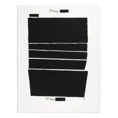 Jenny Holzer, Top Secret 32 (dalla serie Water Boarding), stampa firmata