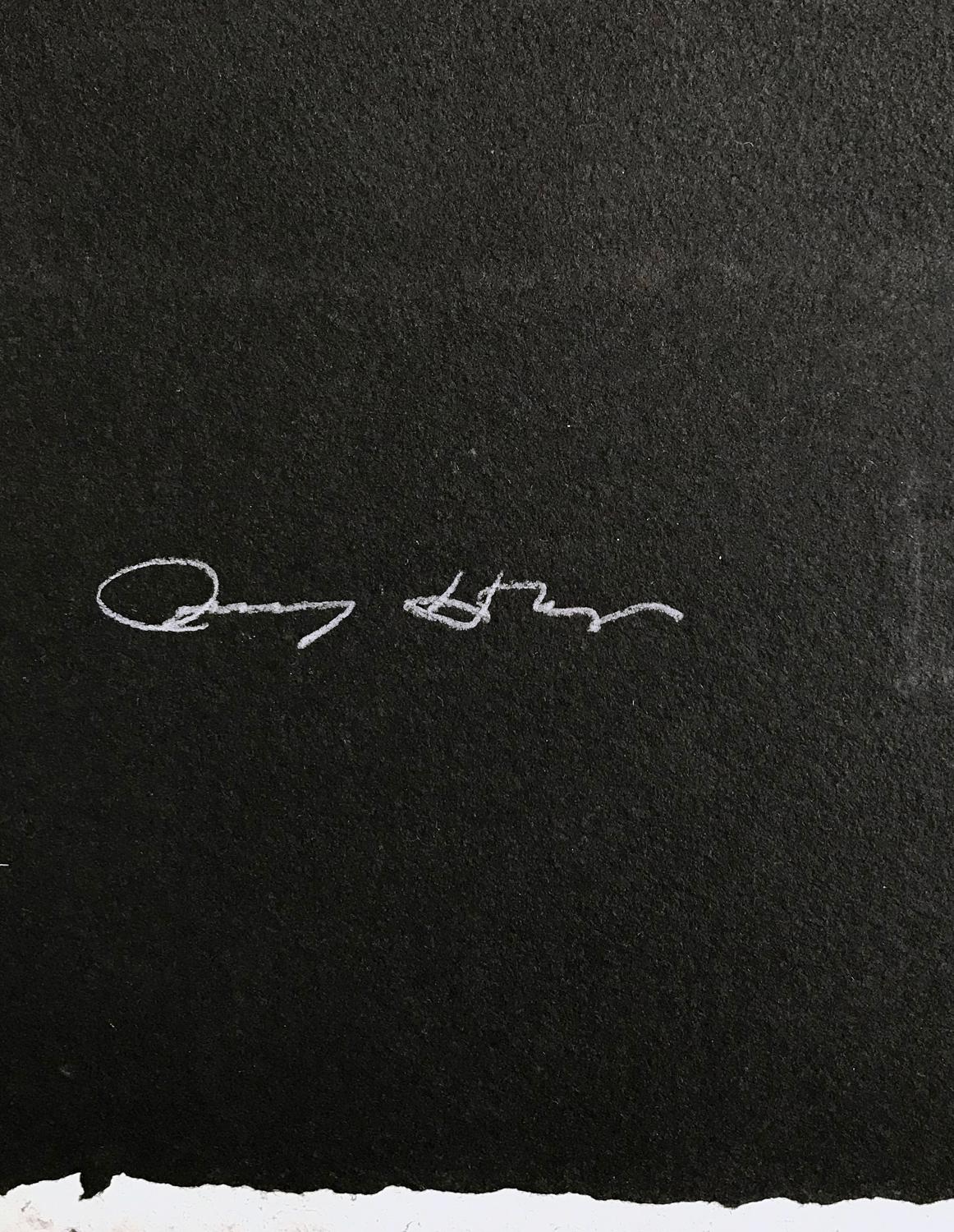 Jenny Holzer, Water Board 0000090: 2012, Signed Print, Contemporary Art 2