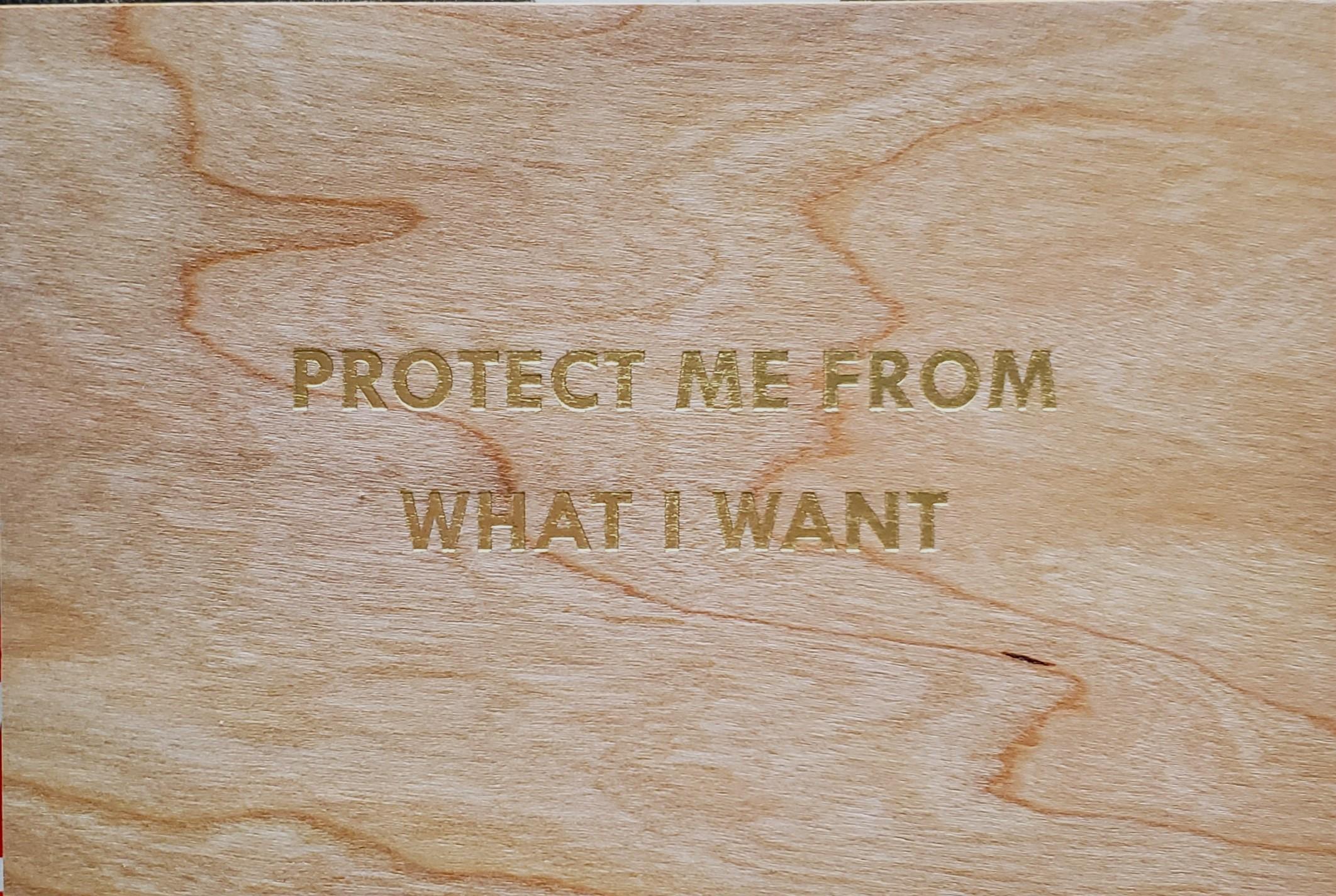 jenny holzer protect me from what i want