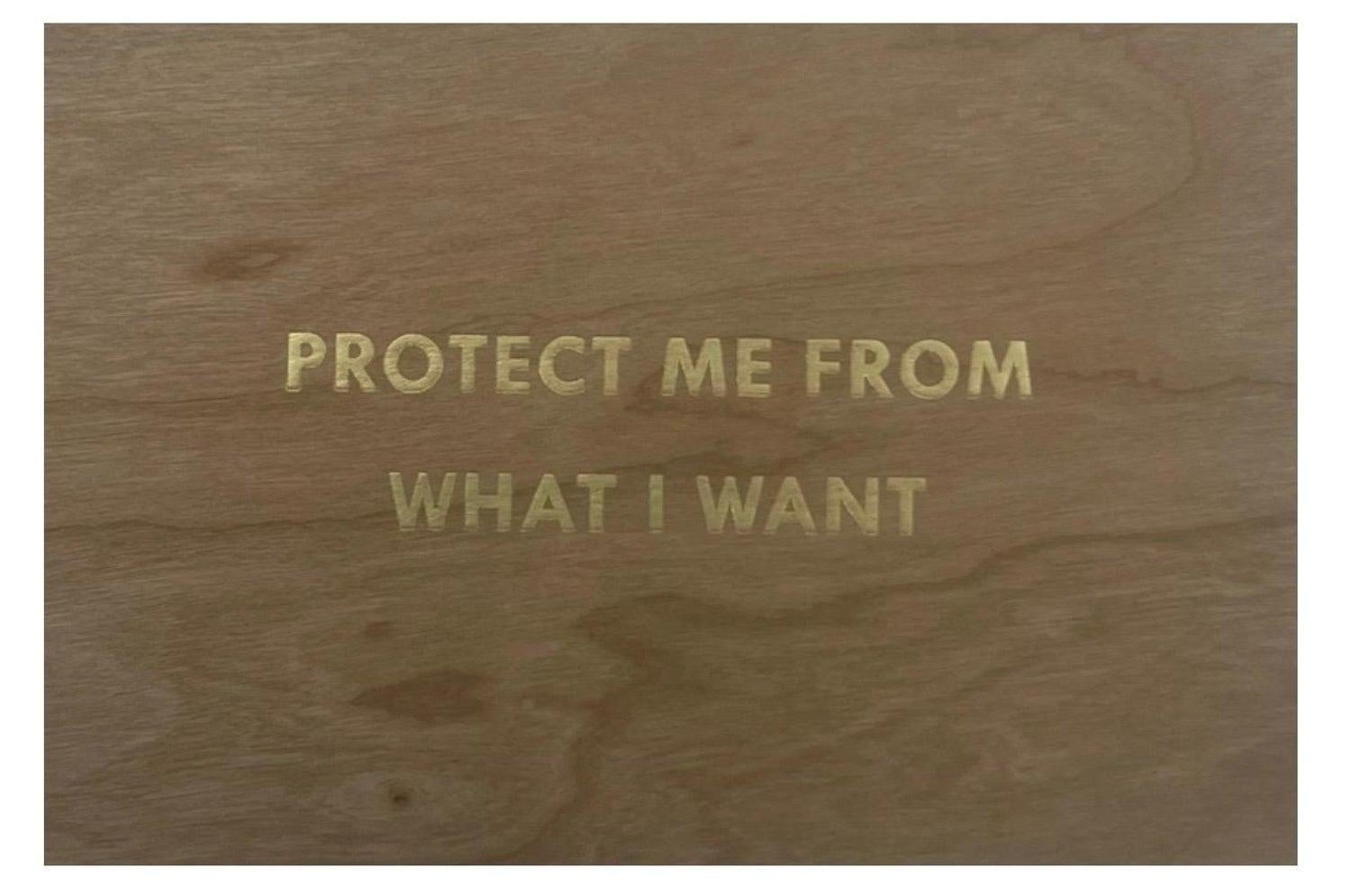 protect me from what i want holzer