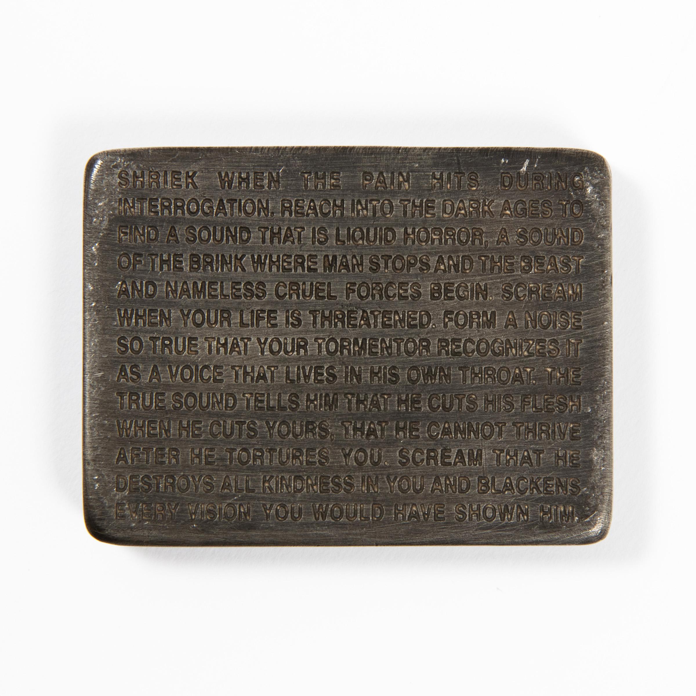 What medium does Jenny Holzer use?