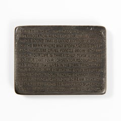 Jenny Holzer, Essaysflammatory: Shriek When the Pain Hits...