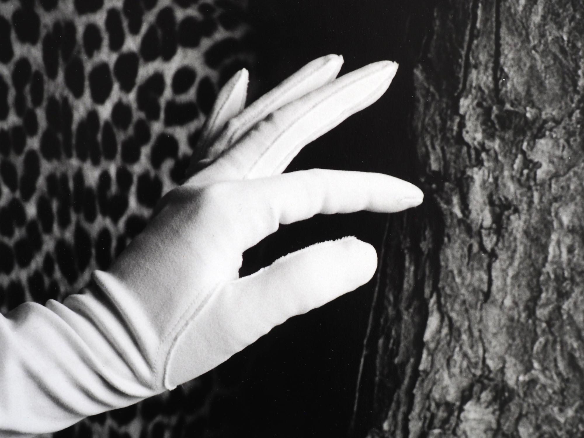 Hand & Foot: black & white photograph w/ glove, leopard print & tree bark, feet - Photograph by Jenny Lynn