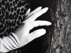 Hand & Foot: black & white photograph w/ glove, leopard print & tree bark, feet