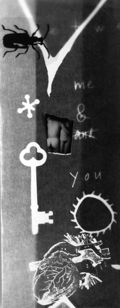 Me & You: framed abstract black & white photo collage w/ nudes, insect, heart