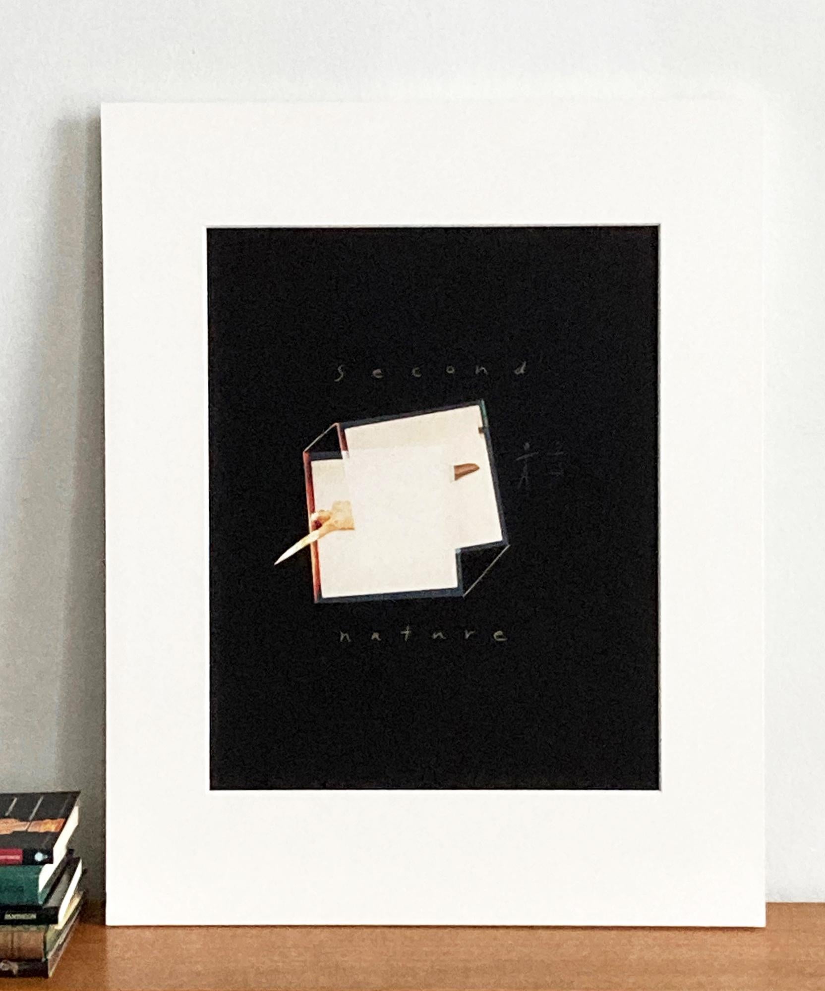 Zweite Natur: abstrakte Fotografie mit Akt auf Schwarz aus handgeätztem Fotogramm (Abstrakt), Photograph, von Jenny Lynn
