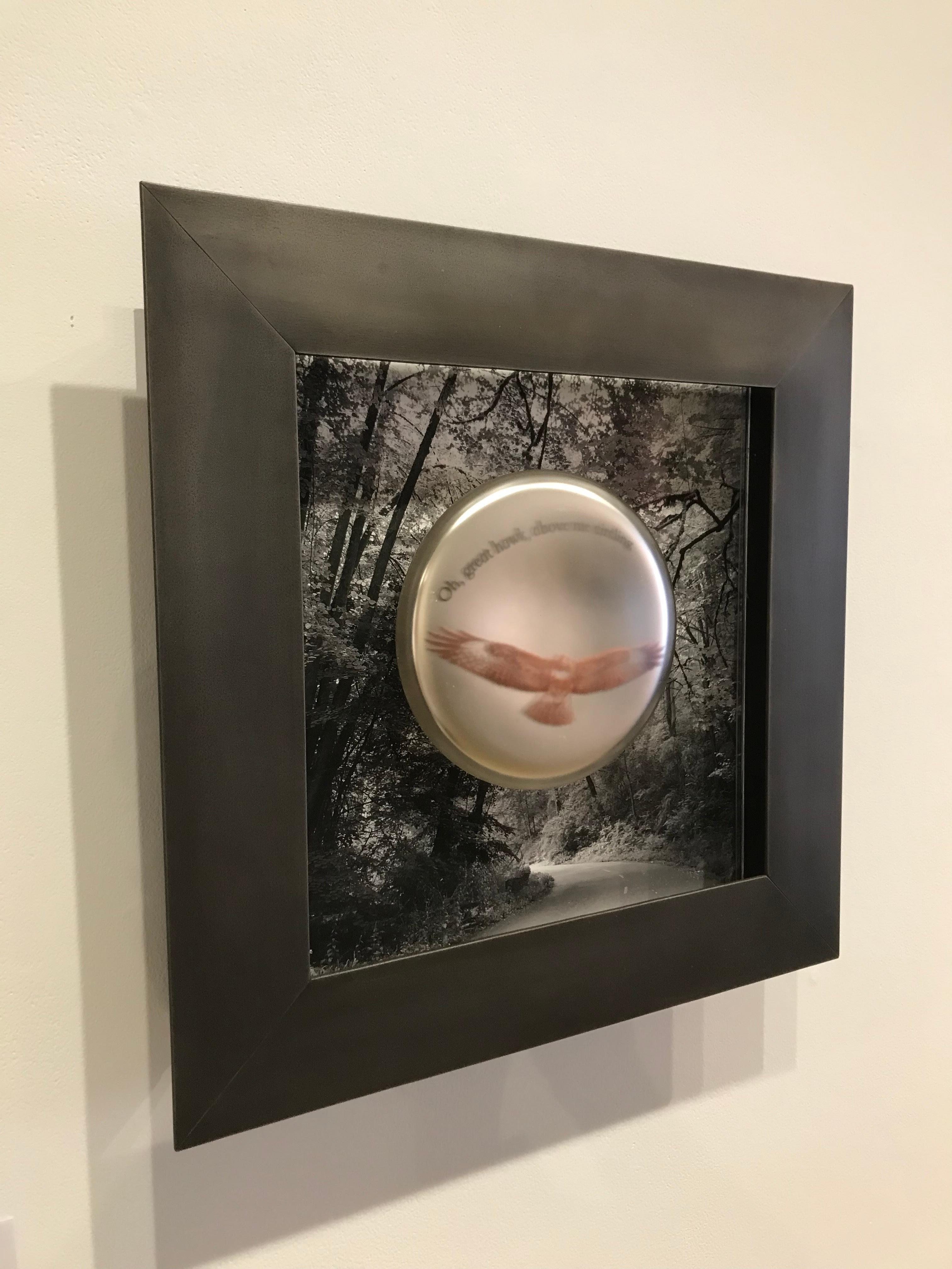 „Hawk“, Wandbehangsskulptur aus Glas und Metall mit Originalfotografie (Zeitgenössisch), Mixed Media Art, von Jenny Pohlman and Sabrina Knowles