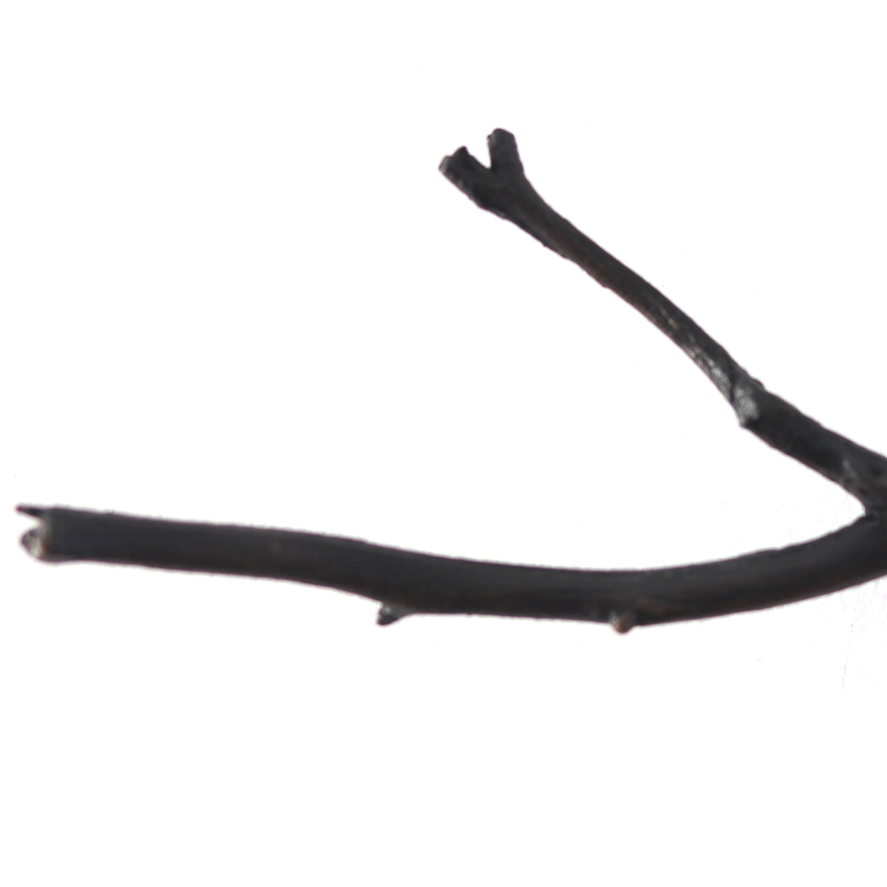 GRAFT EH6 - Abstrakte figurative Wandskulptur - Tree Branch und Bronzefiguren (Zeitgenössisch), Sculpture, von Jennyfer Stratman