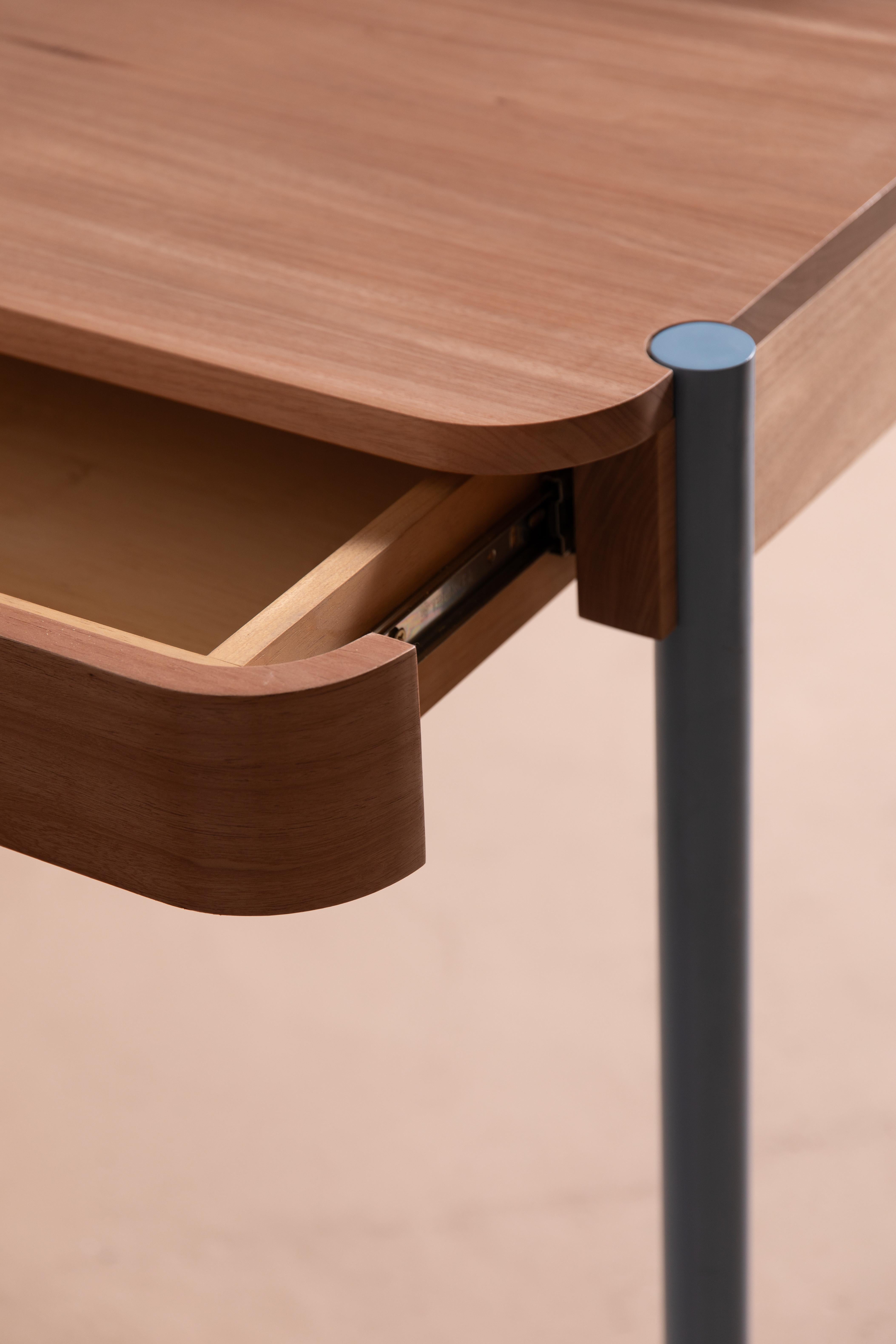 Brazilian Jequitiba, Blue Gambito Writing Desk by Andreas Anwander For Sale