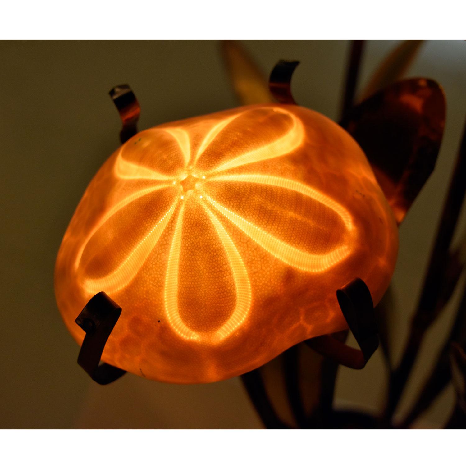 sand dollar table lamp