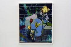 Arrayed In Time