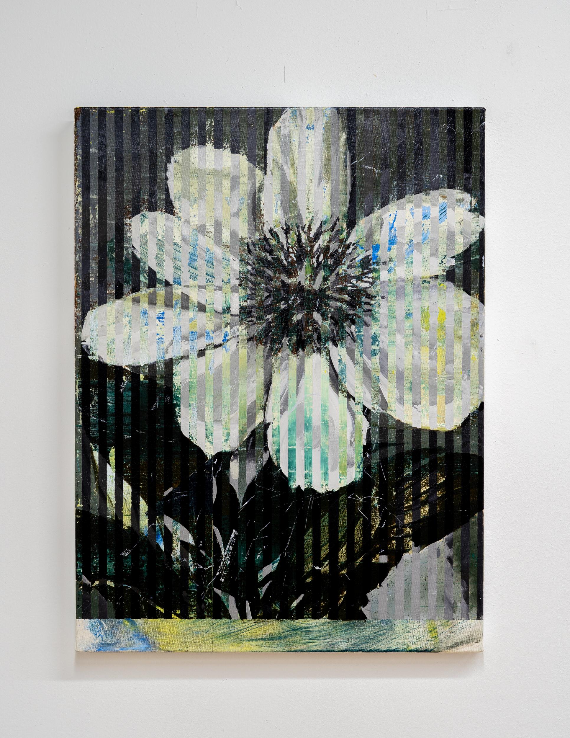 VERT DE GRIS – Öl auf Leinwand, Gemälde einer gestreiften Blume in gedämpften Farben – Painting von Jered Sprecher