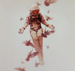 Wilderness, Jeremy Geddes, grand format, 25"" x 24" Impression d'art urbain contemporain