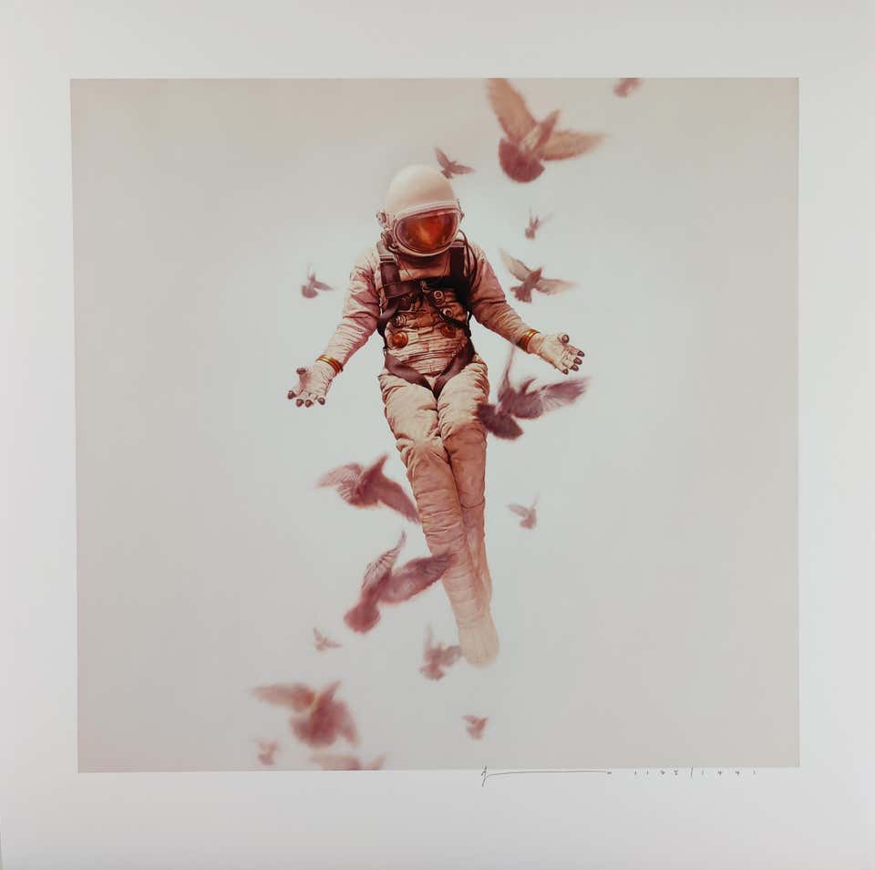 Wilderness, Jeremy Geddes, Large Format, 25" x 24" Contemporary Street Art Print