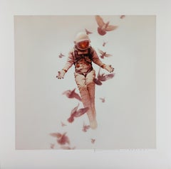 Wilderness, Jeremy Geddes, Großformat, 25"" x 24" Zeitgenössischer Street Art-Druck