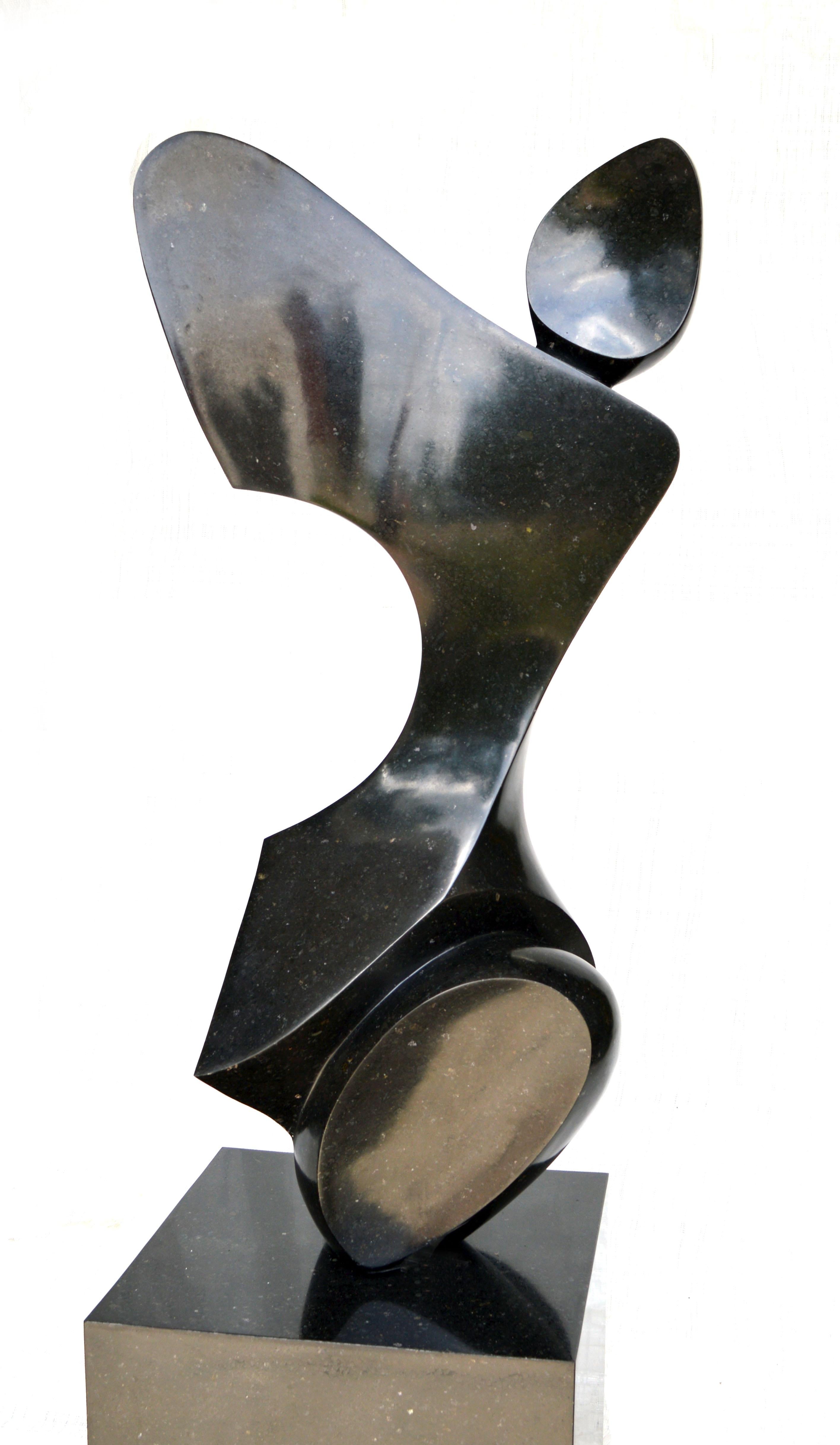 Jeremy Guy Abstract Sculpture - Anatomical 3/50 - smooth, black, granite, indoor/outdoor, figurative sculpture