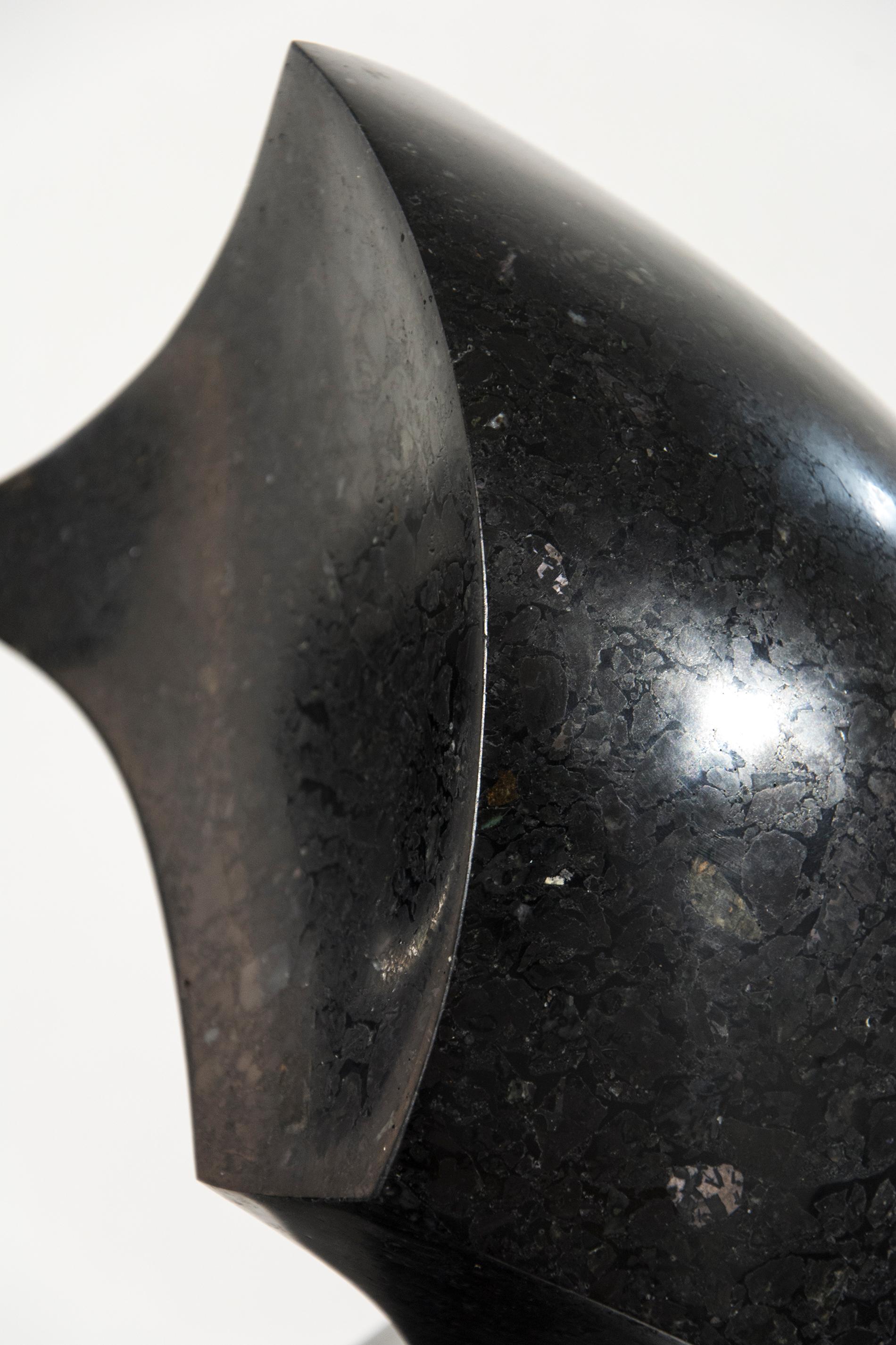 Halcyon Black 7/50 - dark, smooth, polished, abstract, black granite sculpture 1