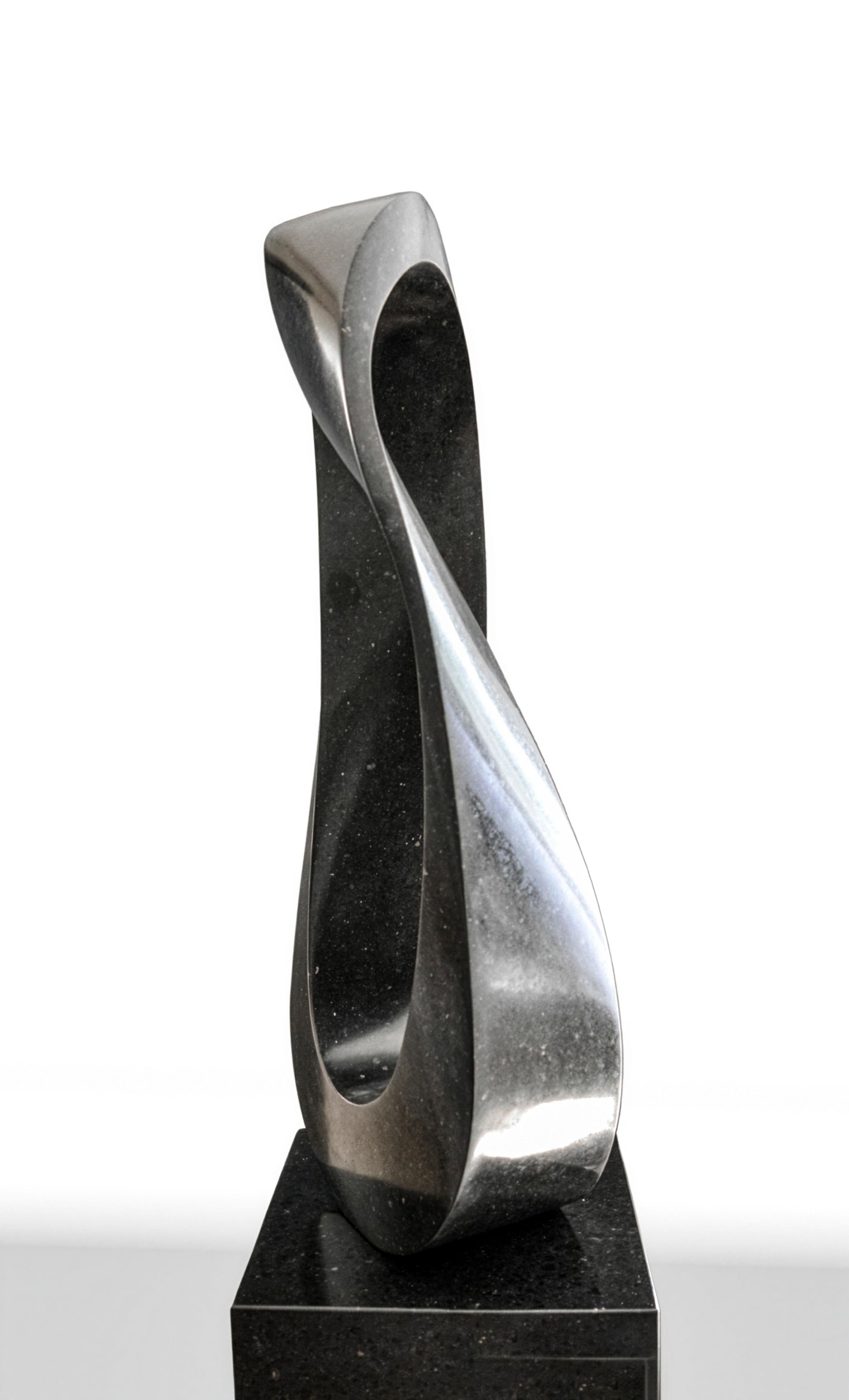 El escultor Jeremy Guy ha diseñado una elegante banda de Mobius de granito negro de superficie lisa, salpicada casi imperceptiblemente de cobre y blanco. Esta escultura está numerada en una edición de 50 unidades y puede adquirirse por encargo.