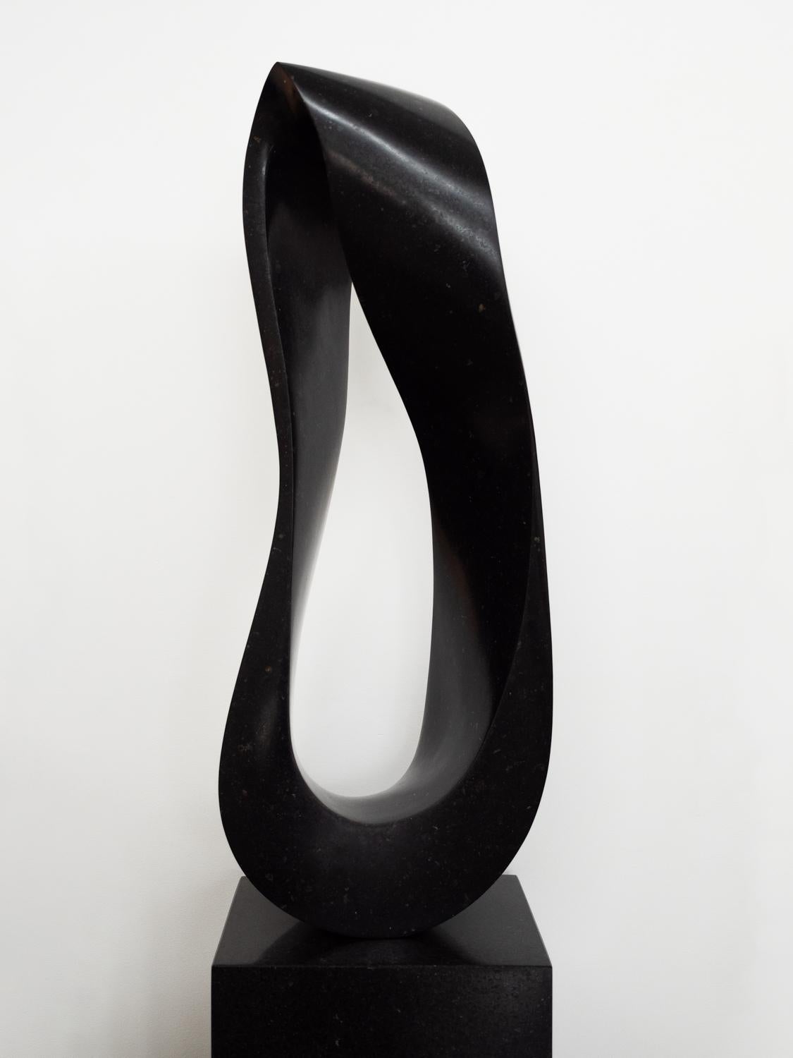 Mobius H3 6/20 - Sculpture by Jeremy Guy