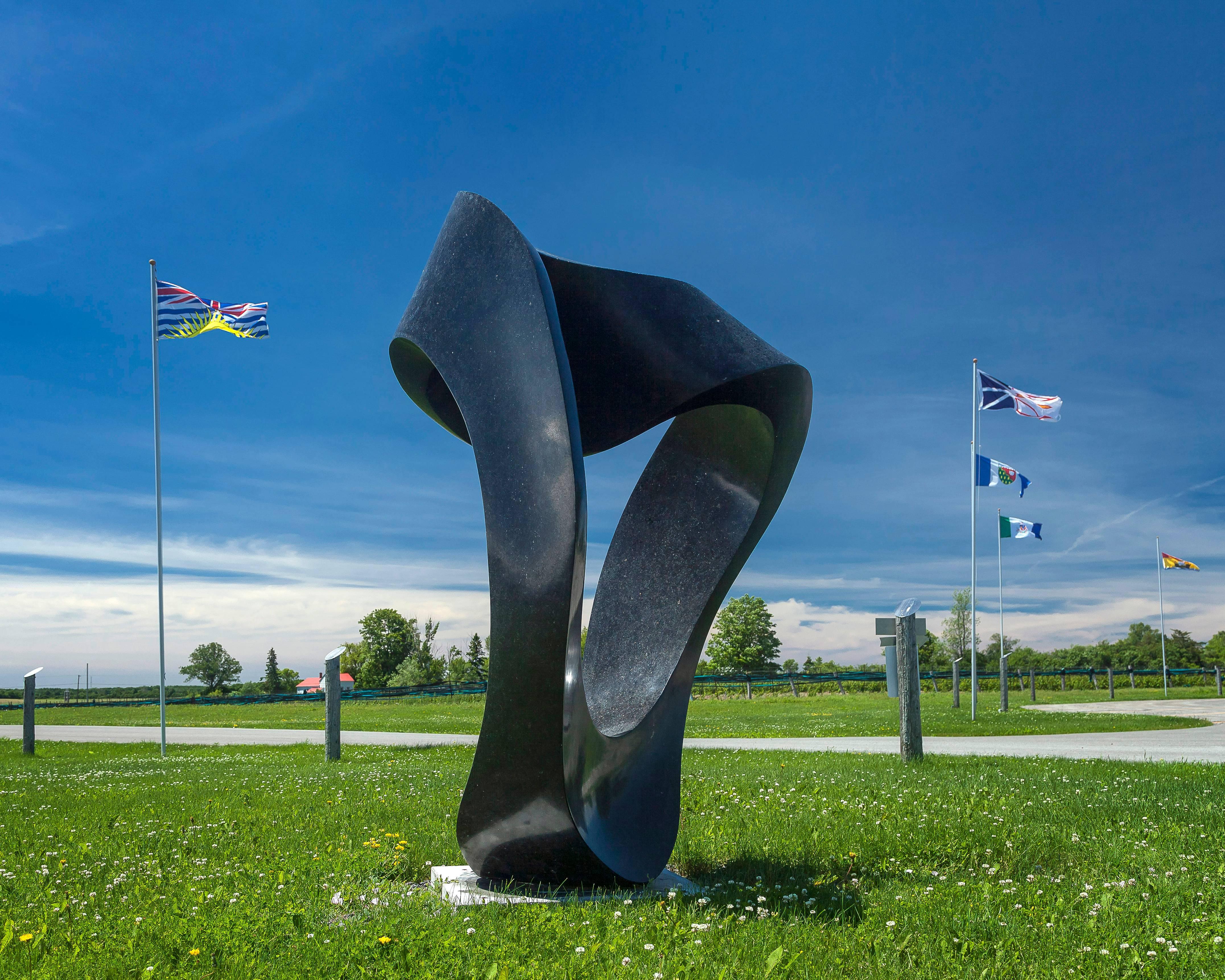 Murmuration - Large scale, smooth and polished, black granite outdoor sculpture For Sale 1