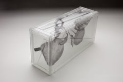 Fruit to Bear, Zeitgenössische Glasskulptur, 8 x 16 x 5 Zoll, Jeremy Lepisto