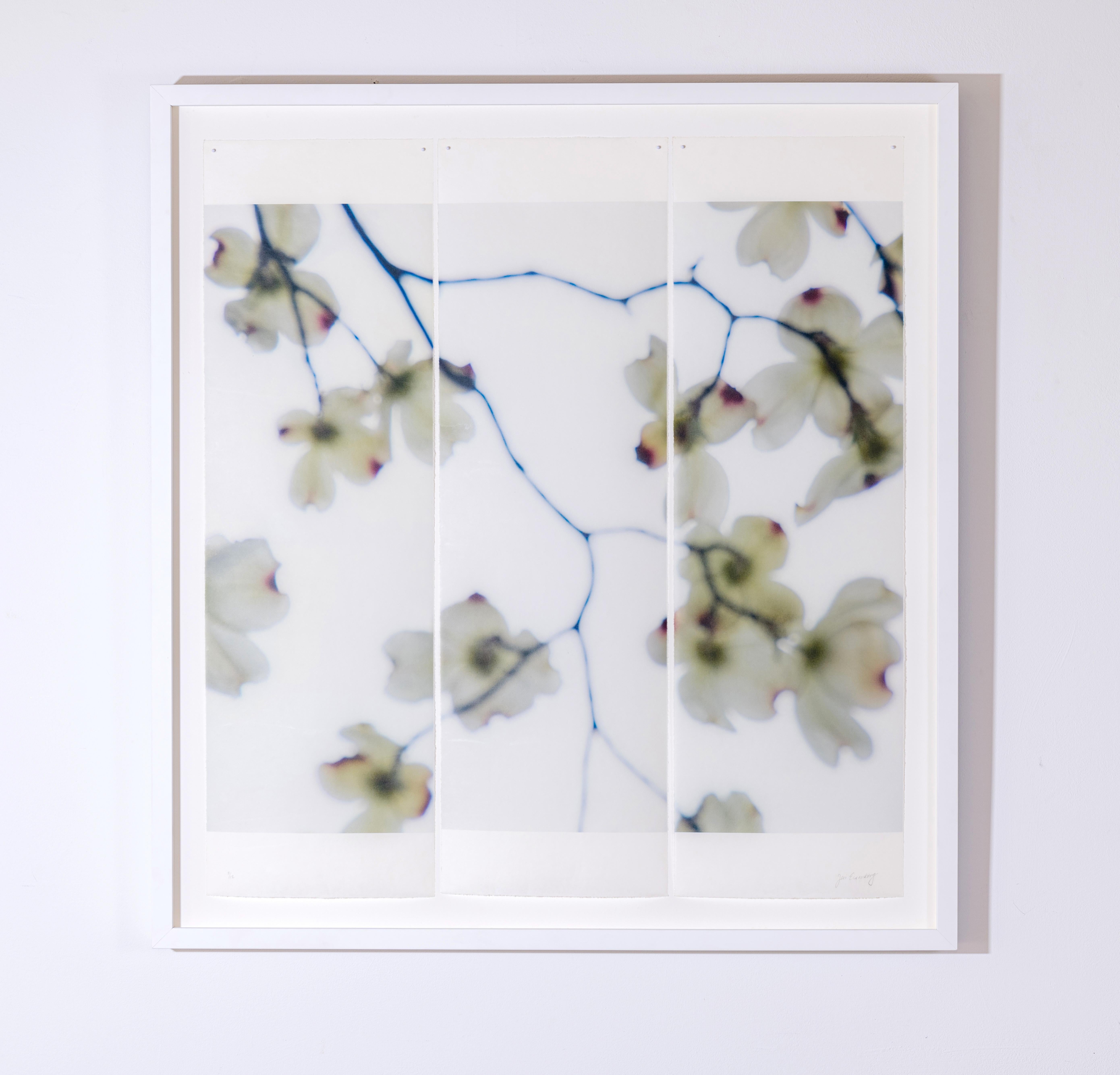 Herbst- Magnolien (Delicate-Fotografie auf Reispapier mit pflaumenfarbenen Blüten) im Angebot 1
