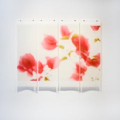 Bougainvillea : Photographie de nature morte abstraite de fleurs roses magenta sur blanc