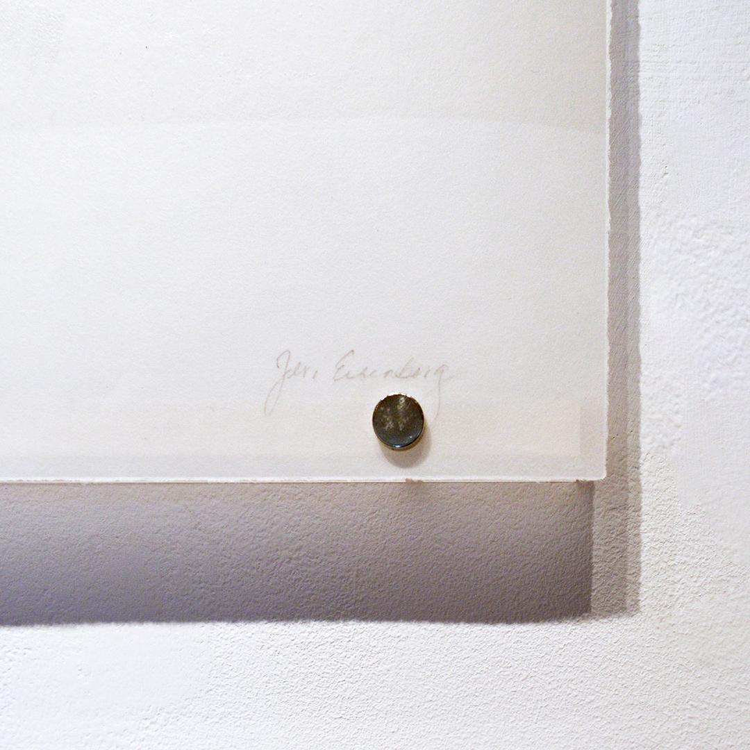 Canna n° 2 (Photographie abstraite de nature morte d'une fleur rose sur blanc) en vente 1